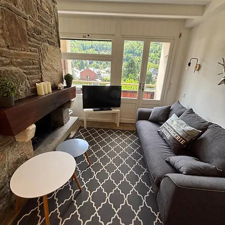 Cosy Au Centre L'aragon Saint-Lary-Soulan